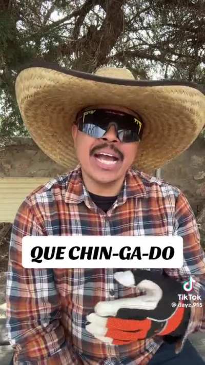 Mexican word of the day.