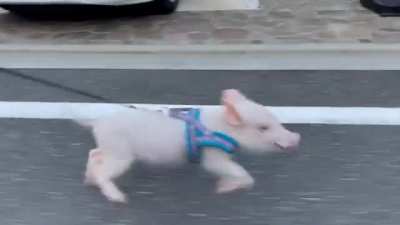 I am speed