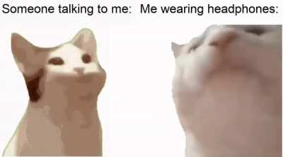 uhh what did you say