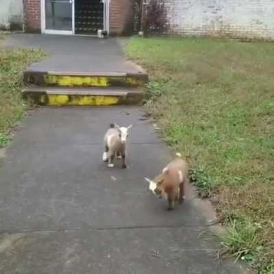 It's this way