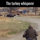 the turkey whisperer