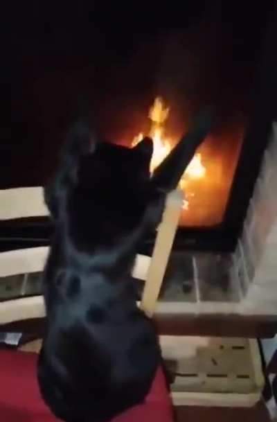 Guys I think he's summoning something evil