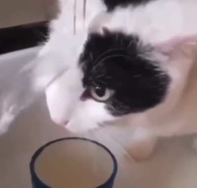 Cat.exe has stopped working, how do we reboot?