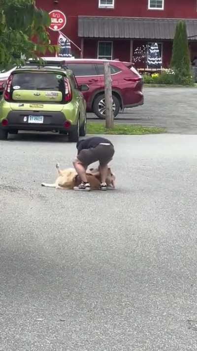 "Come on buddy, youâre embarrassing meâ