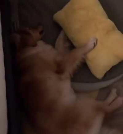 Pure innocence