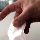 Saving toilet paper level: no thank you