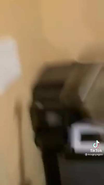 Kid destroys printer for TikTok in front of his parents