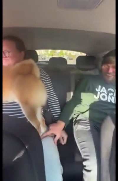 Look, don’t touch