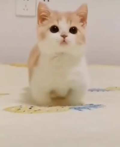Hello!