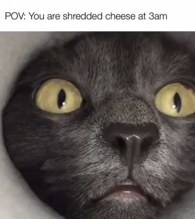 Very cute while eating all the snacks!