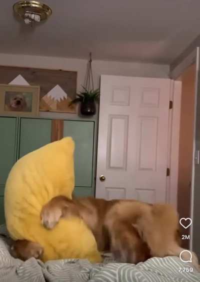 The pillow hug of death