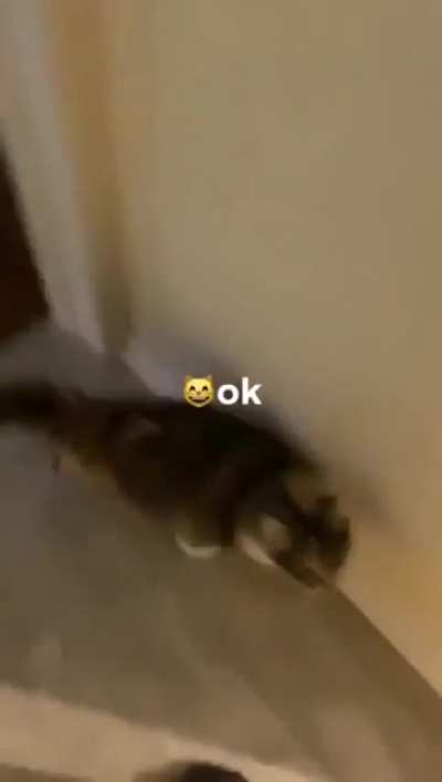 OK...