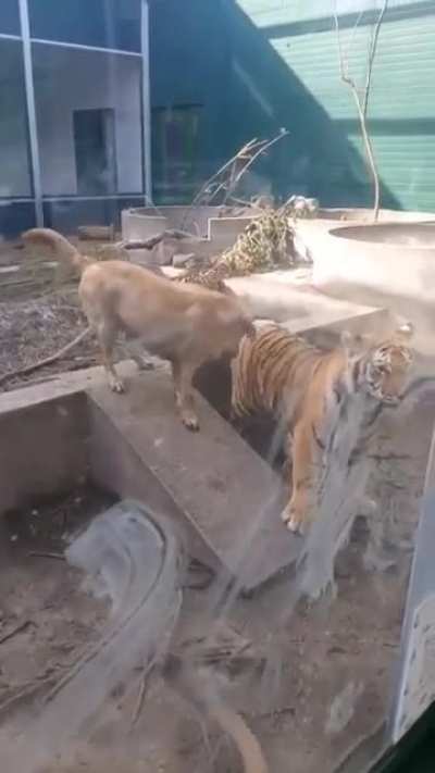 Maybe maybe maybe
