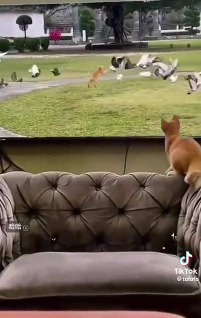 Maybe Maybe Maybe