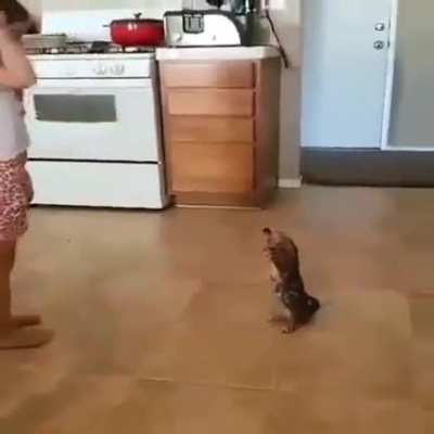 Going in circles