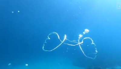 ? Two bubbles becoming one