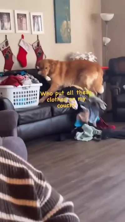 When you don’t care about clean laundry because you don’t wear clothes