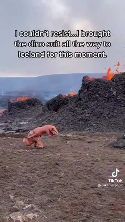 This is perfection. A perfect moment. A professional nature photographer takes his Dino suit to Iceland for the perfect picture ?