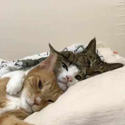 They always surprise me.