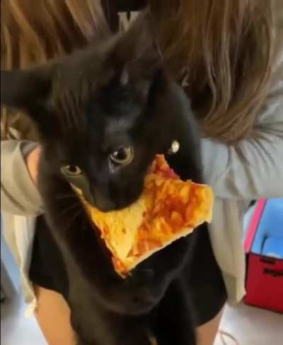 I give him normal food but he wants pizza