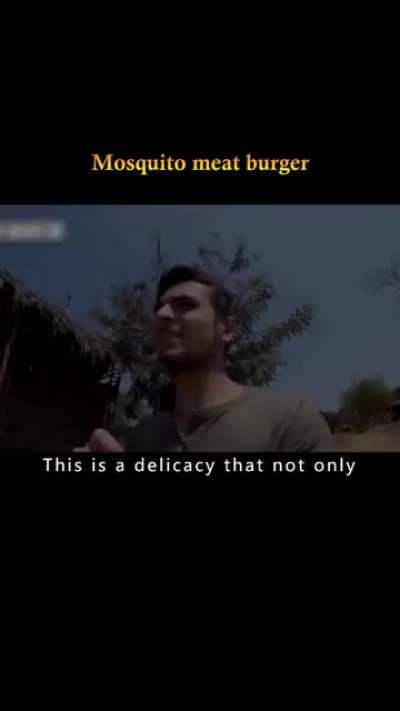 They make mosquitoes burgers in Africa