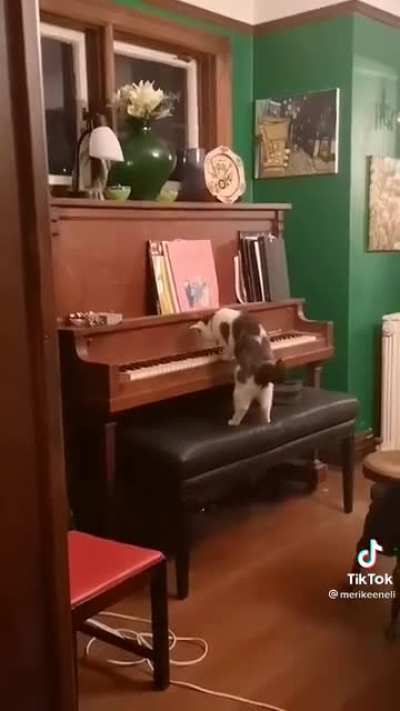 You’re laughing. I’m composing my magnum opus and you’re laughing..