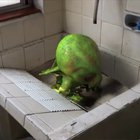 Baby Cthulhu