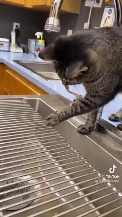 "Don't touch anything"