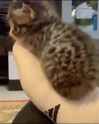 Smol foot friend