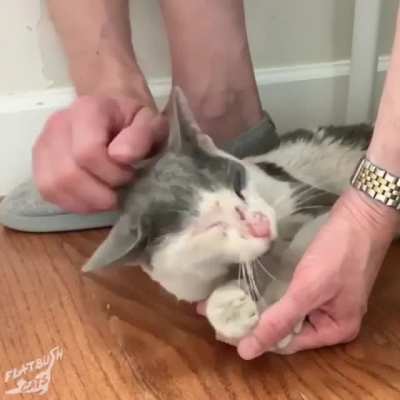 What a difference some love makes