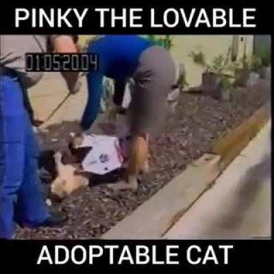Maybe Maybe Maybe