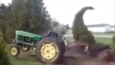 To remove a tree