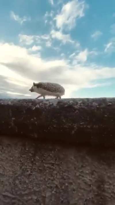 A small adventure