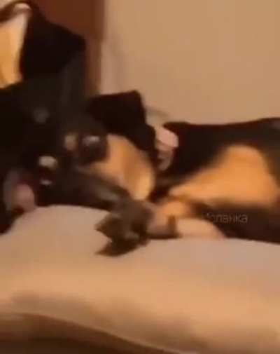 Cute