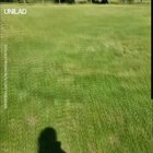 Man gets chased by wild beasts.