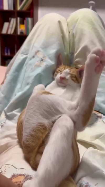Why he's sleeping like that ??