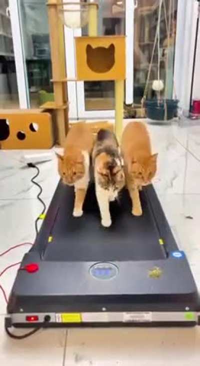 Maybe Maybe Maybe