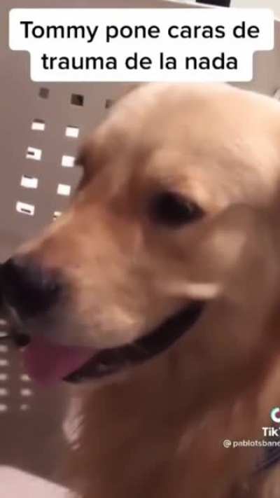 "Tommy looks like he is having trauma flashbacks out of nowhere"