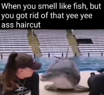 Fish is great tho