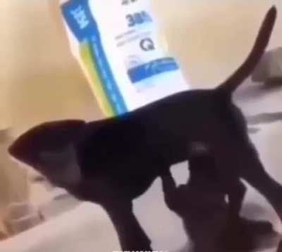 ?