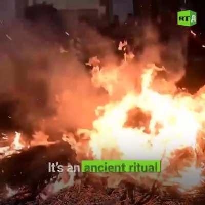 ?It’s a race through fire. In Spain, an annual ritual of horse-cleansing takes place. Hundreds of riders jump their horses over the flames. The rite is believed to help protect the animals from disease and injury.