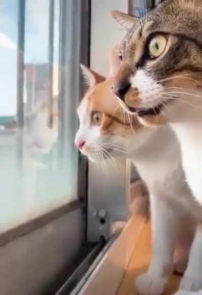 Very interesting conversation ?