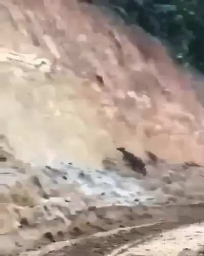 ? I don't need stairs, I'll just climb the wall