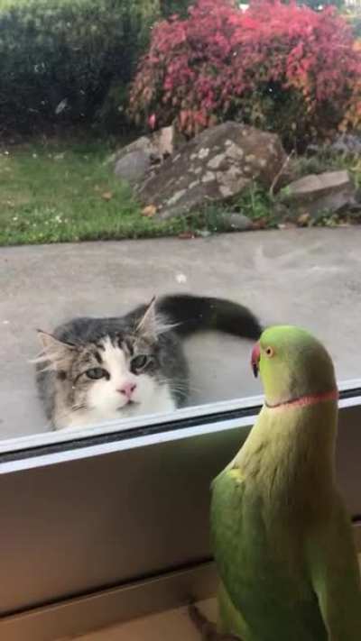 "I am going to destroy my enemy by making it my friend " .