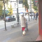 There's a "Duck Lady" in Vancouver, and the winter cold hit so now her duck has shoes