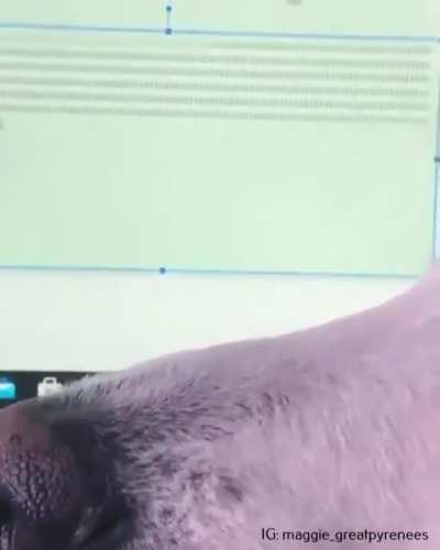 Bbbbbbbbbbbbbbbbbbbbbb