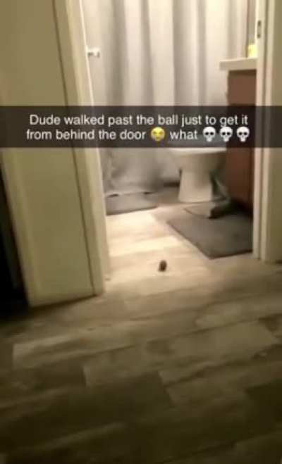 Intelligence