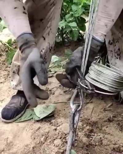 "Work smart, not harder"