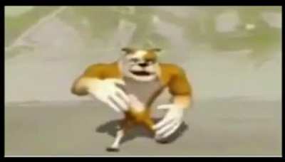 Doge