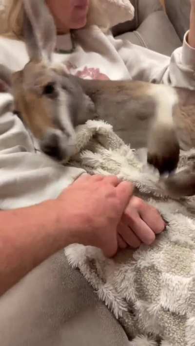 Dont touch mommy ?